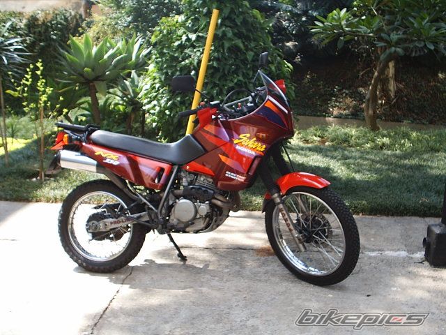 Photo 1229210