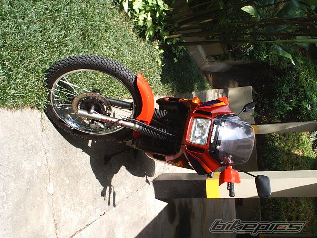 Bike Photo 1229213