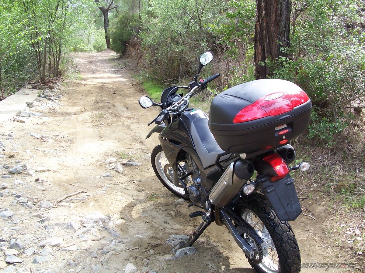 Bike Photo 1229226