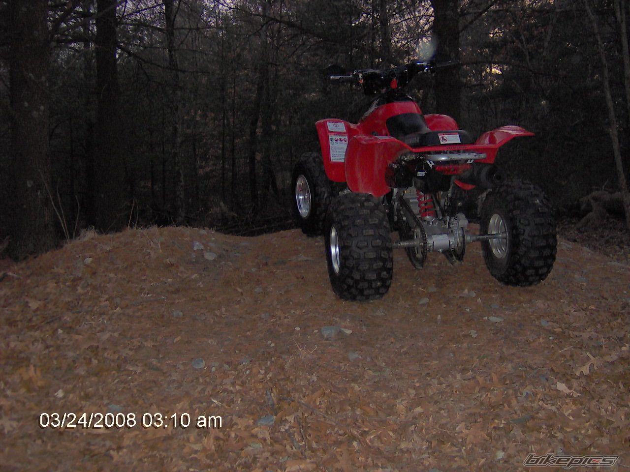 Photo 1229262