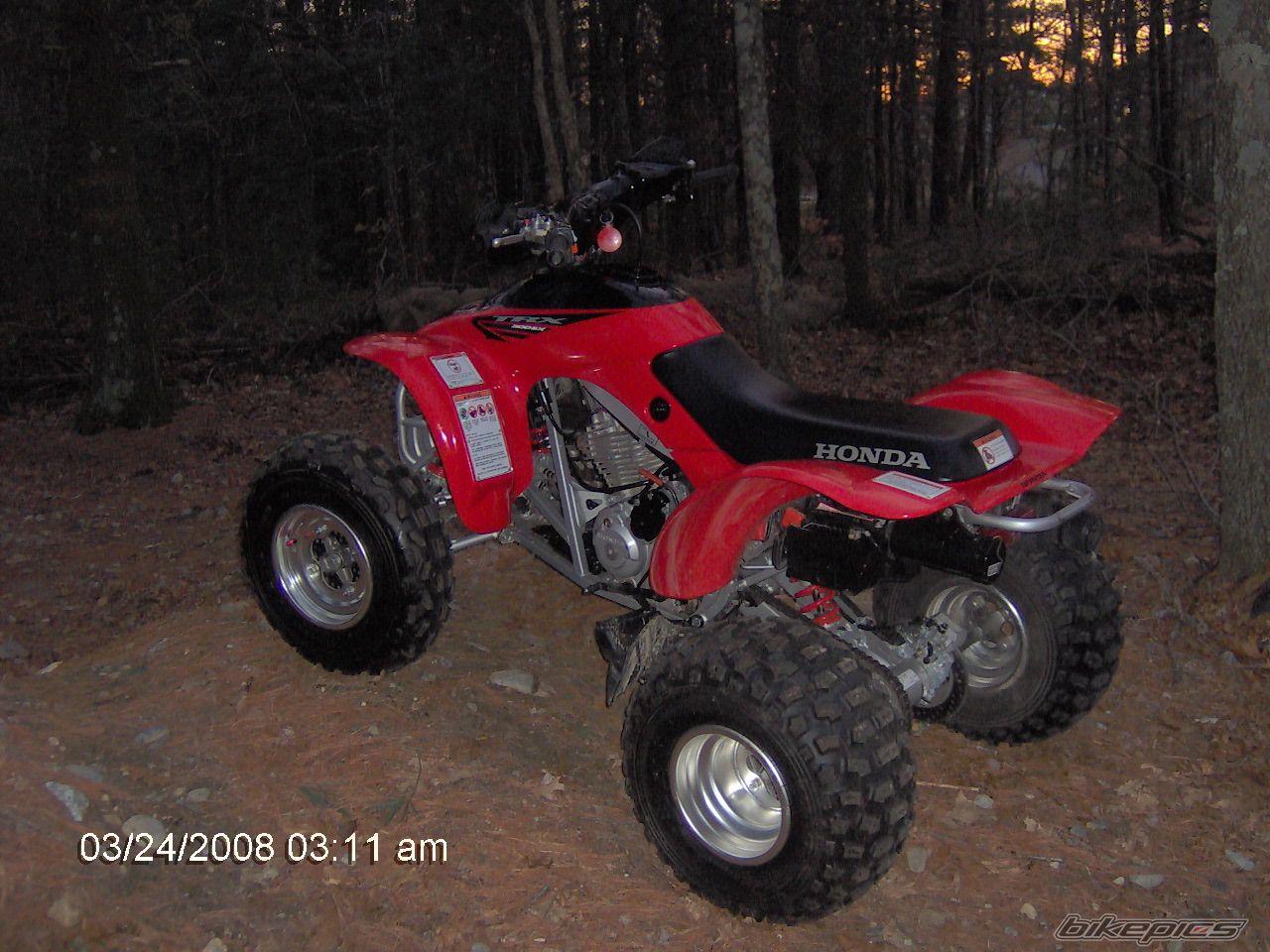 Photo 1229263