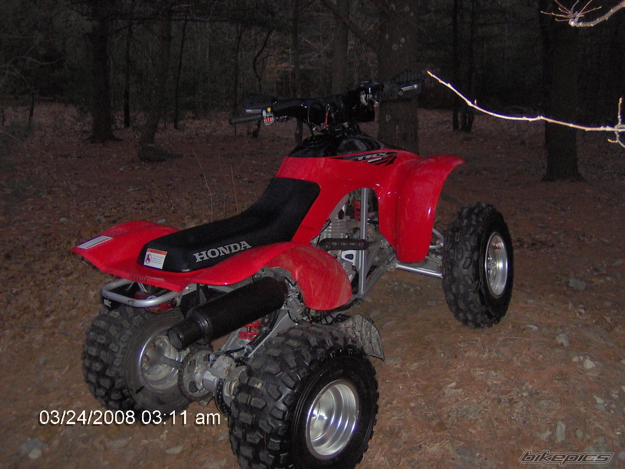 Photo 1229264
