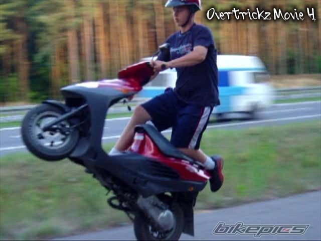 Photo 1229371