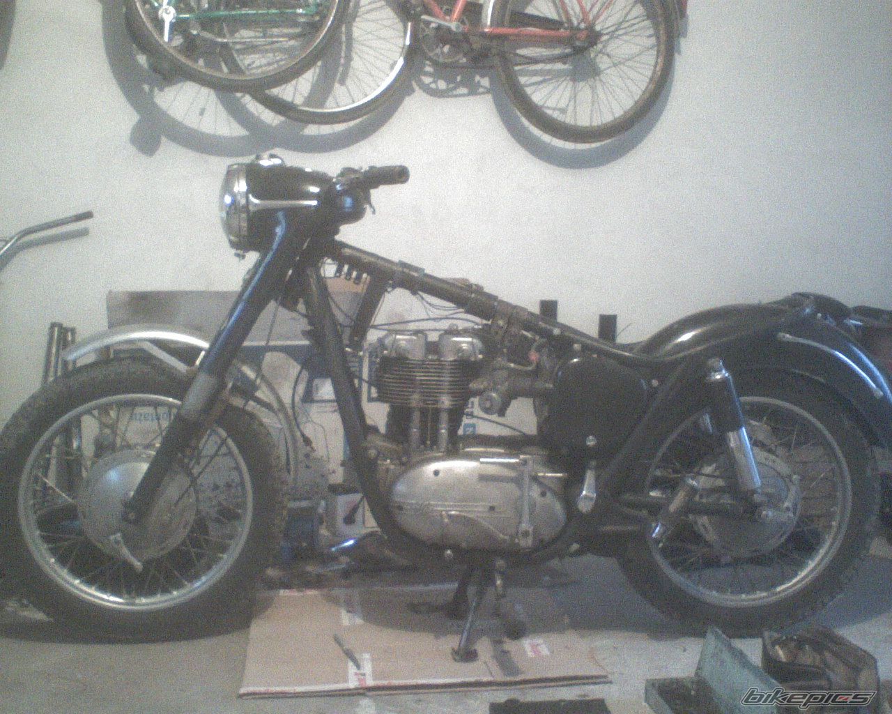 Photo 1229411