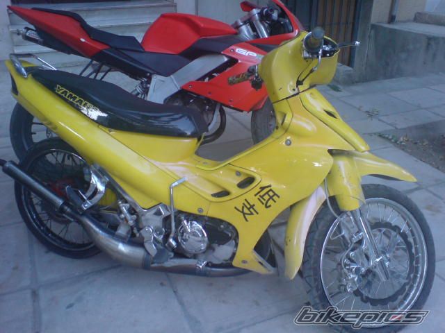Photo 1229436