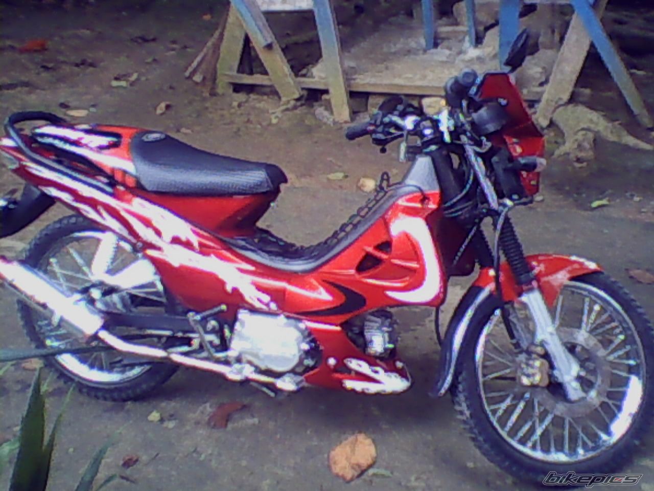 Photo 1229473