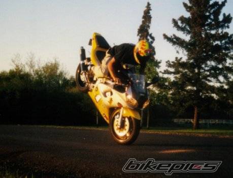 Photo 12296