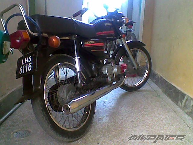 Photo 1229605