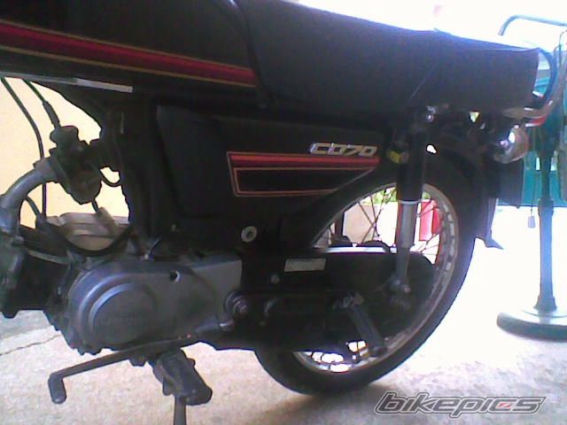 Photo 1229612