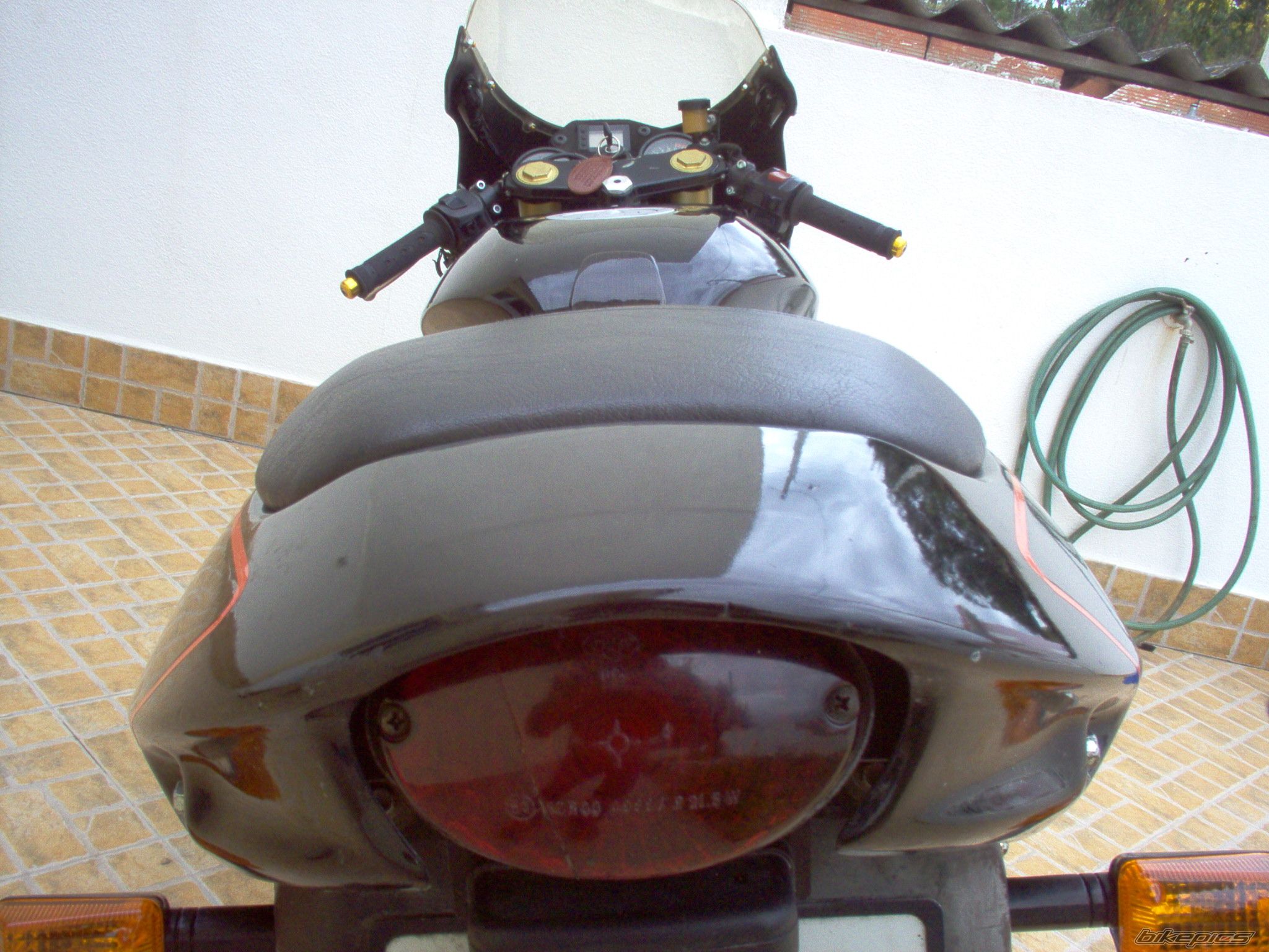 Photo 1229631