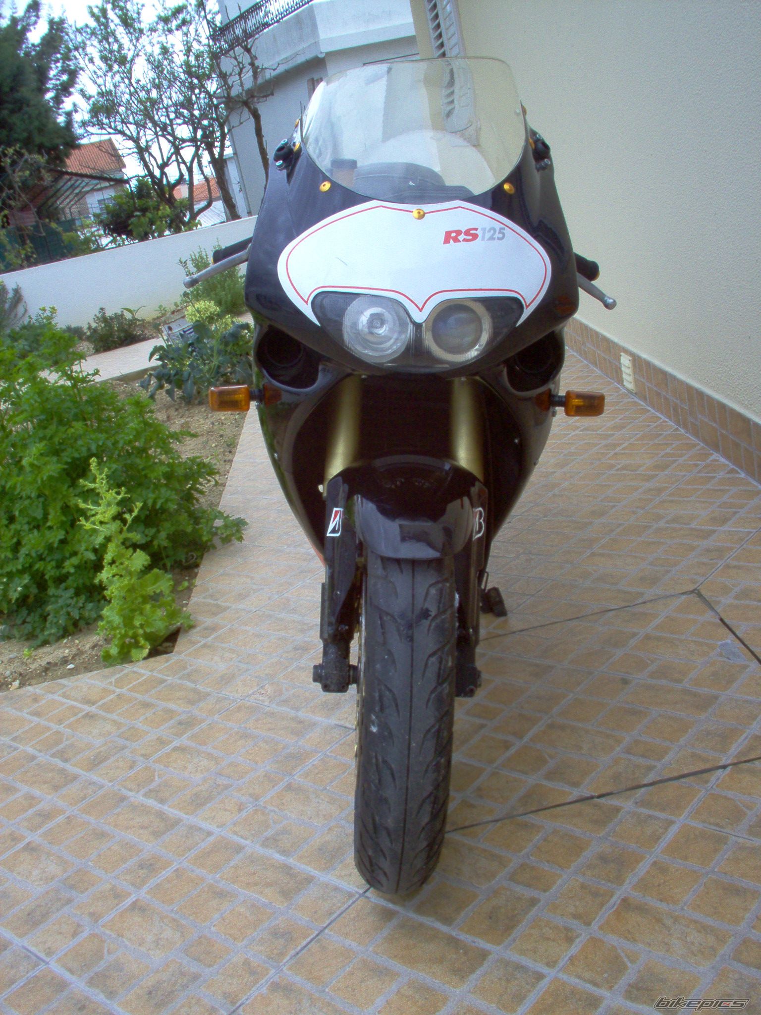 Photo 1229637