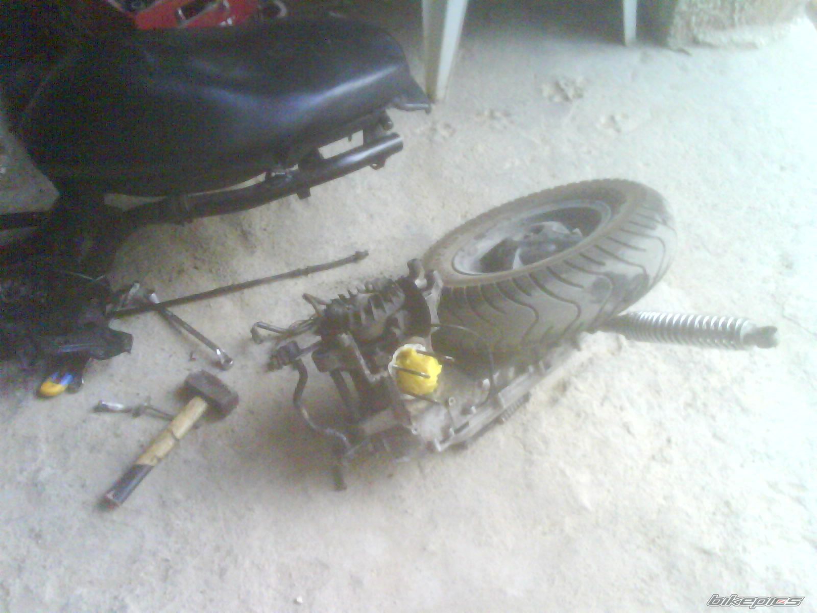 Photo 1229671
