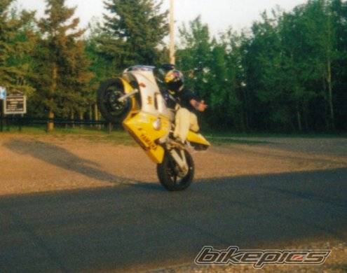Photo 12297