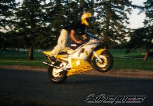 Photo 12298