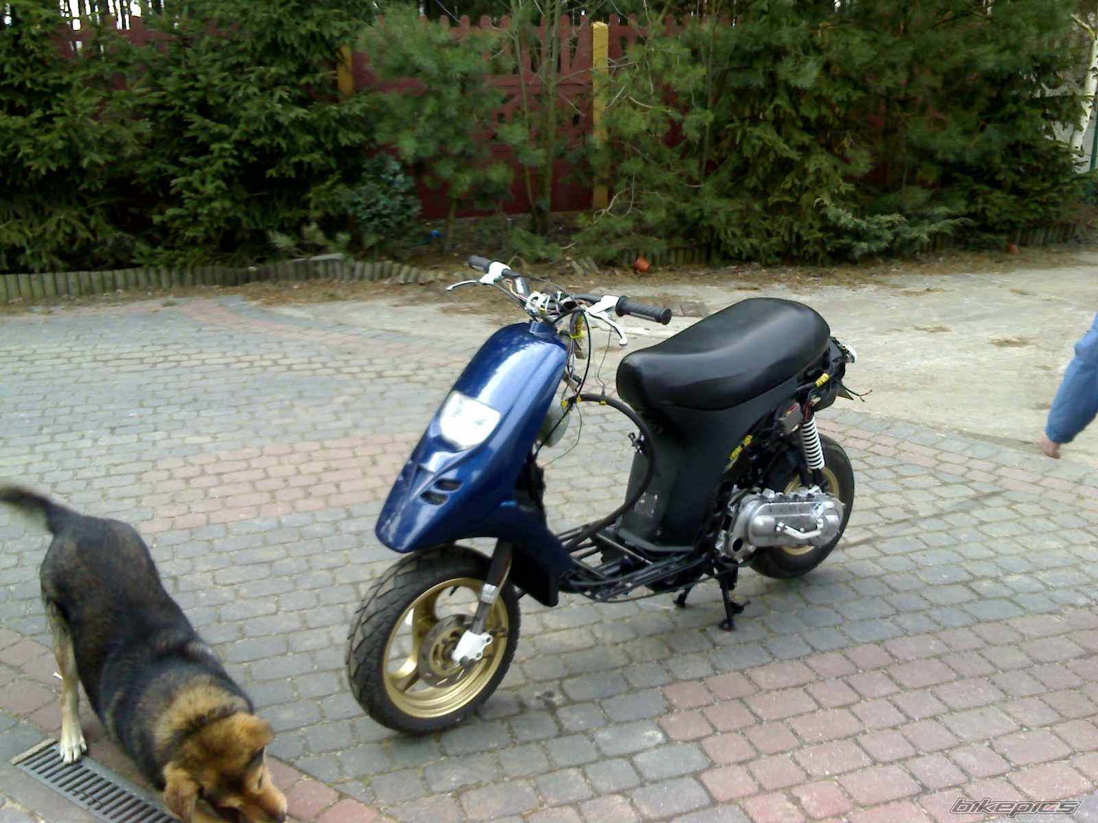 Photo 1229861