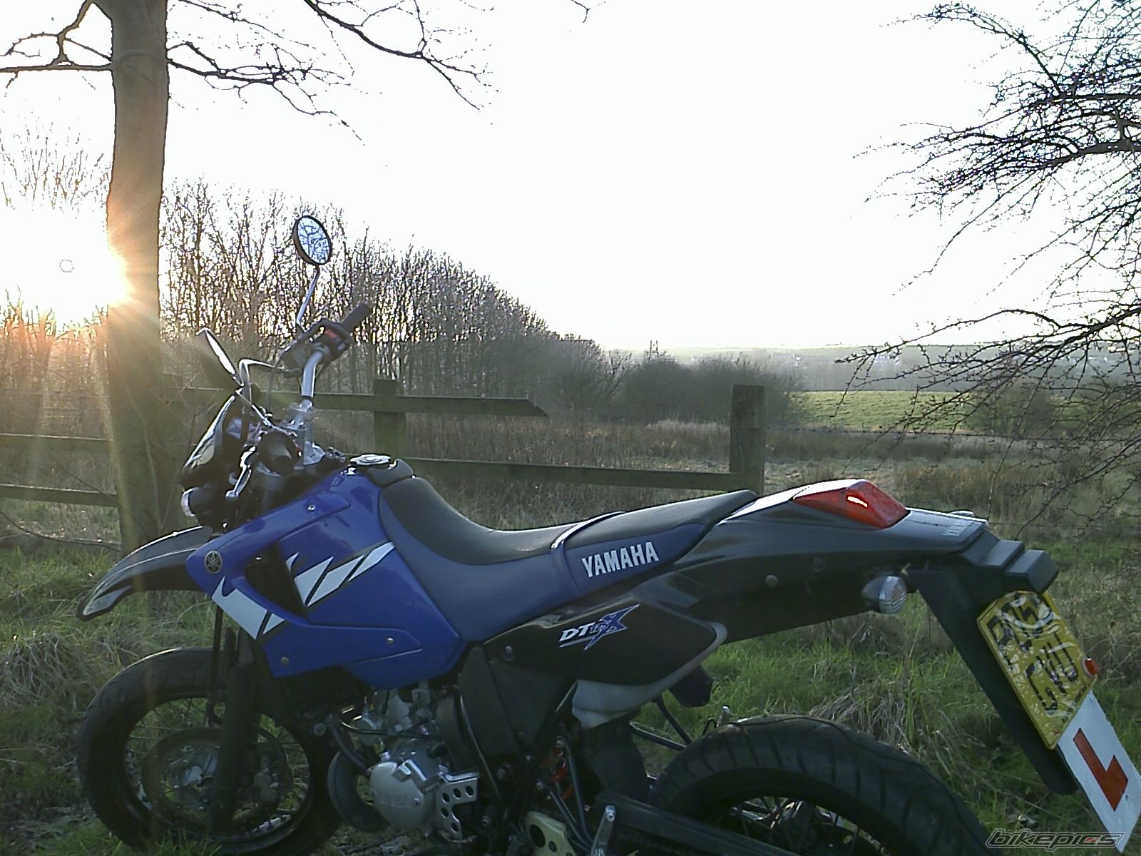 Photo 1229877