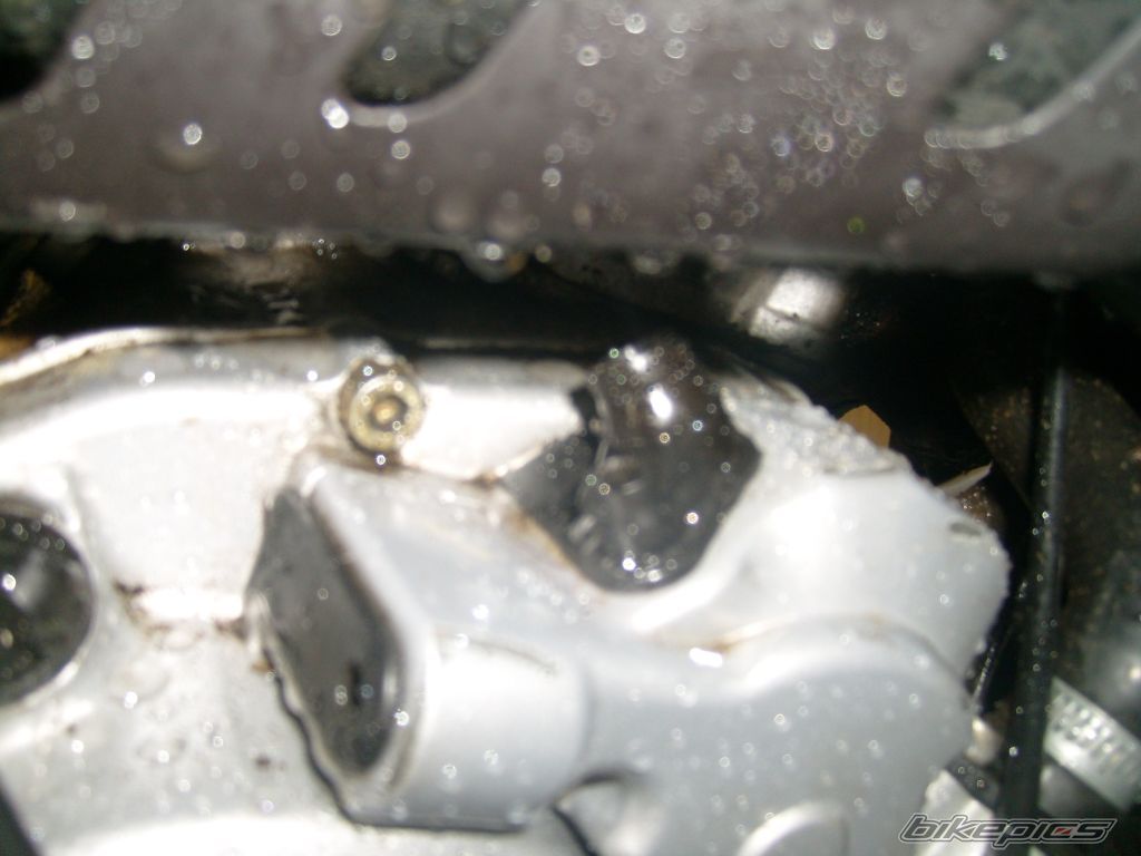 Photo 1229895