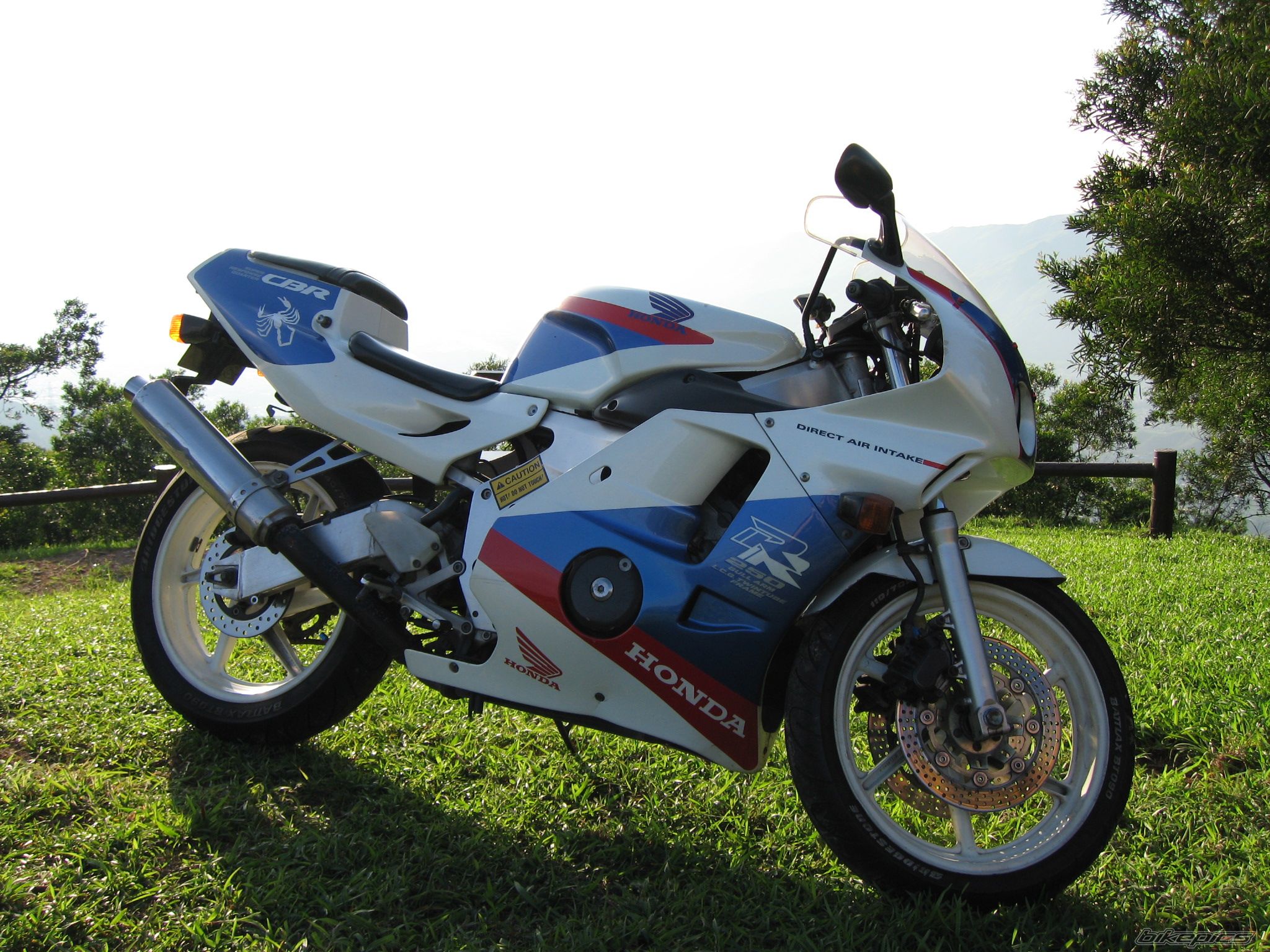Photo 1229908