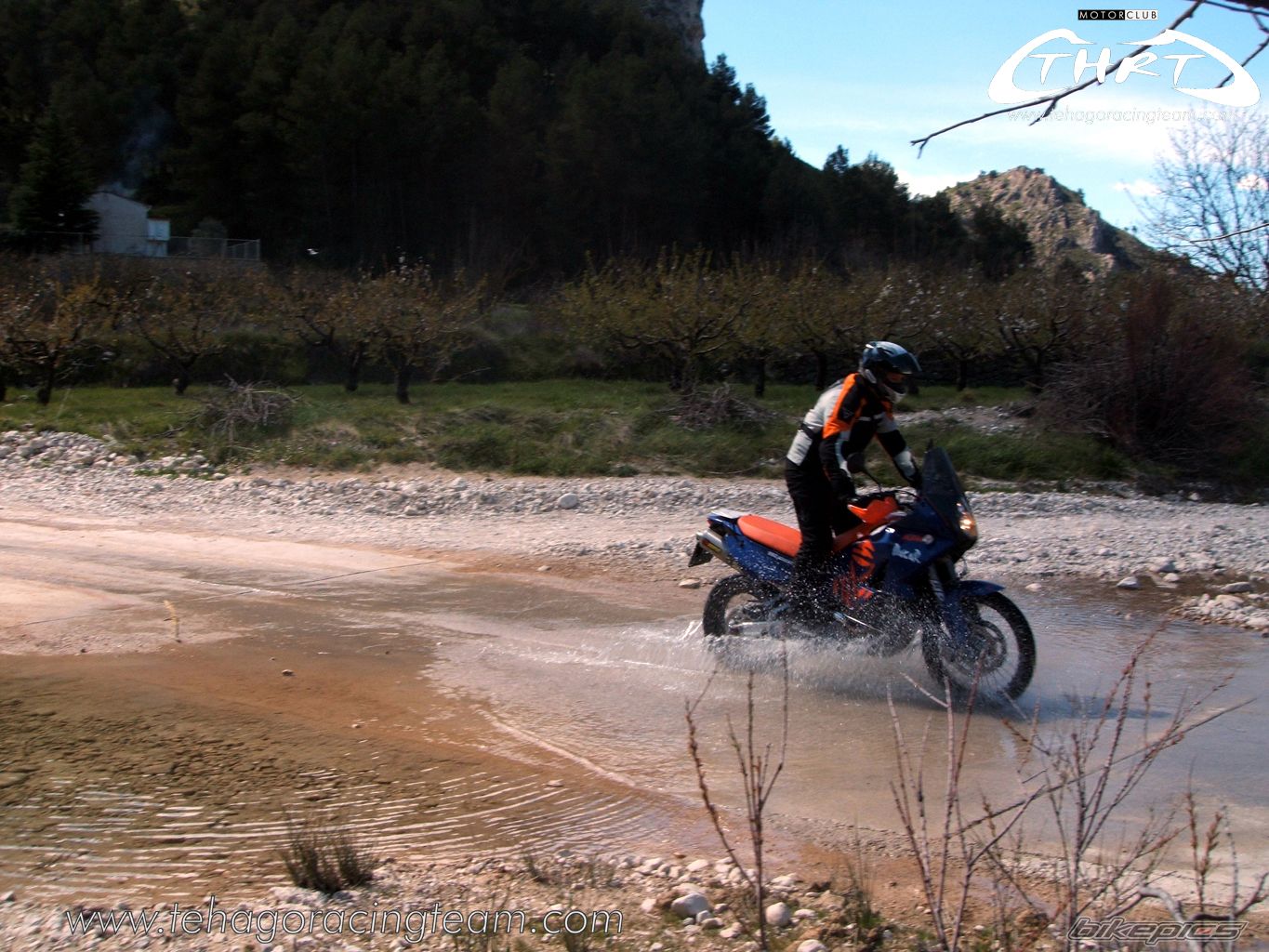 Bike Photo 1229939