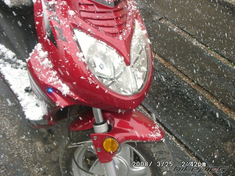 Photo 1230049
