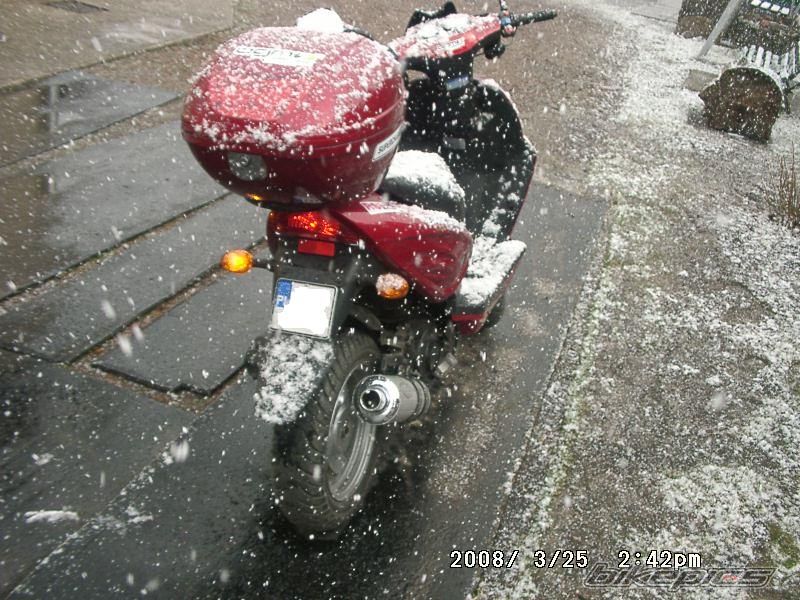 Photo 1230053