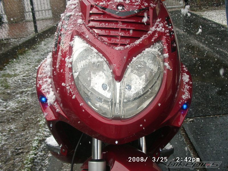 Photo 1230056