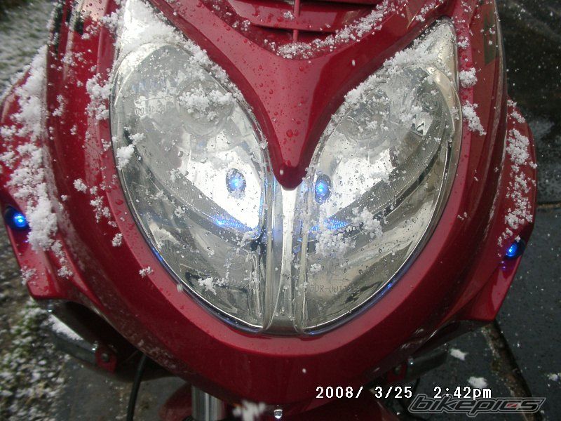 Photo 1230060