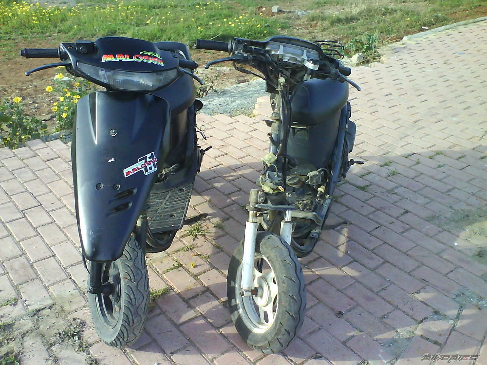 Photo 1230101