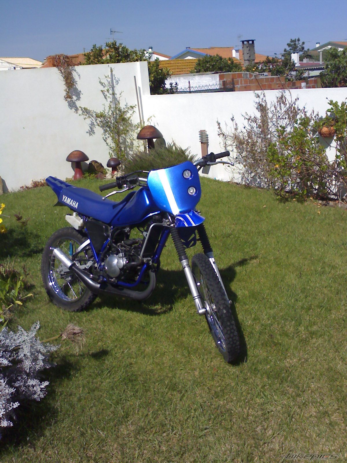 Photo 1230432
