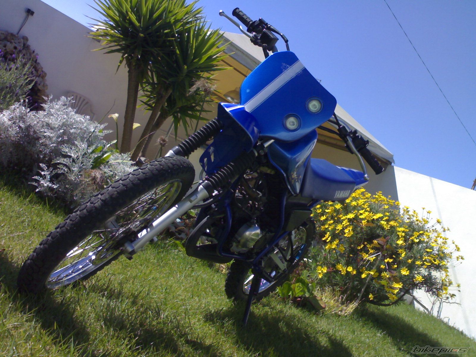 Photo 1230433