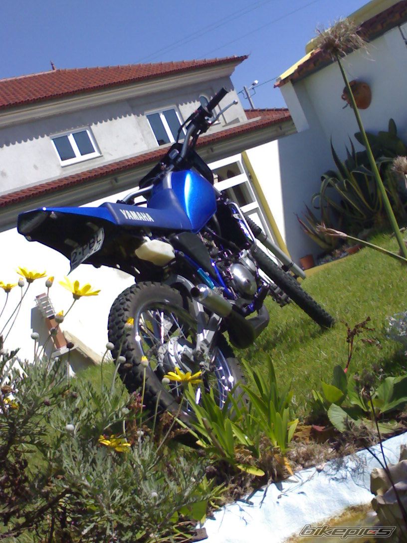 Photo 1230434