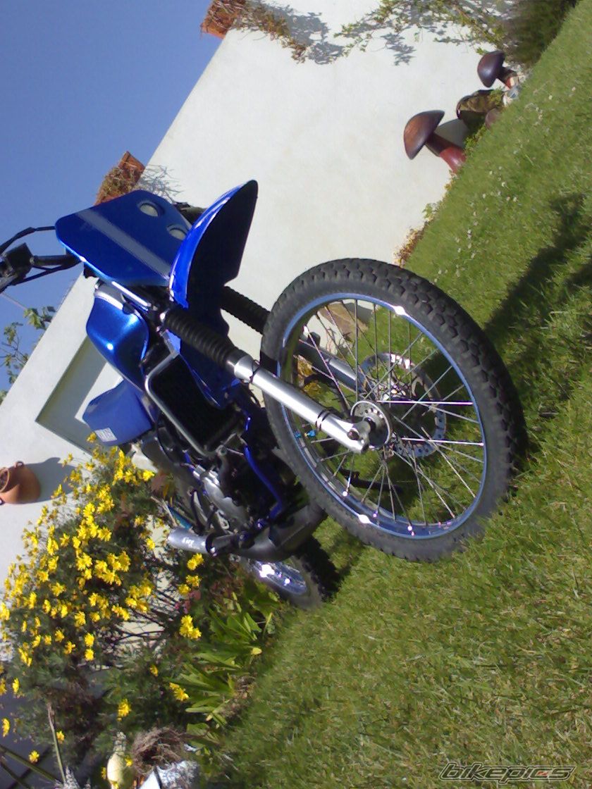 Photo 1230435