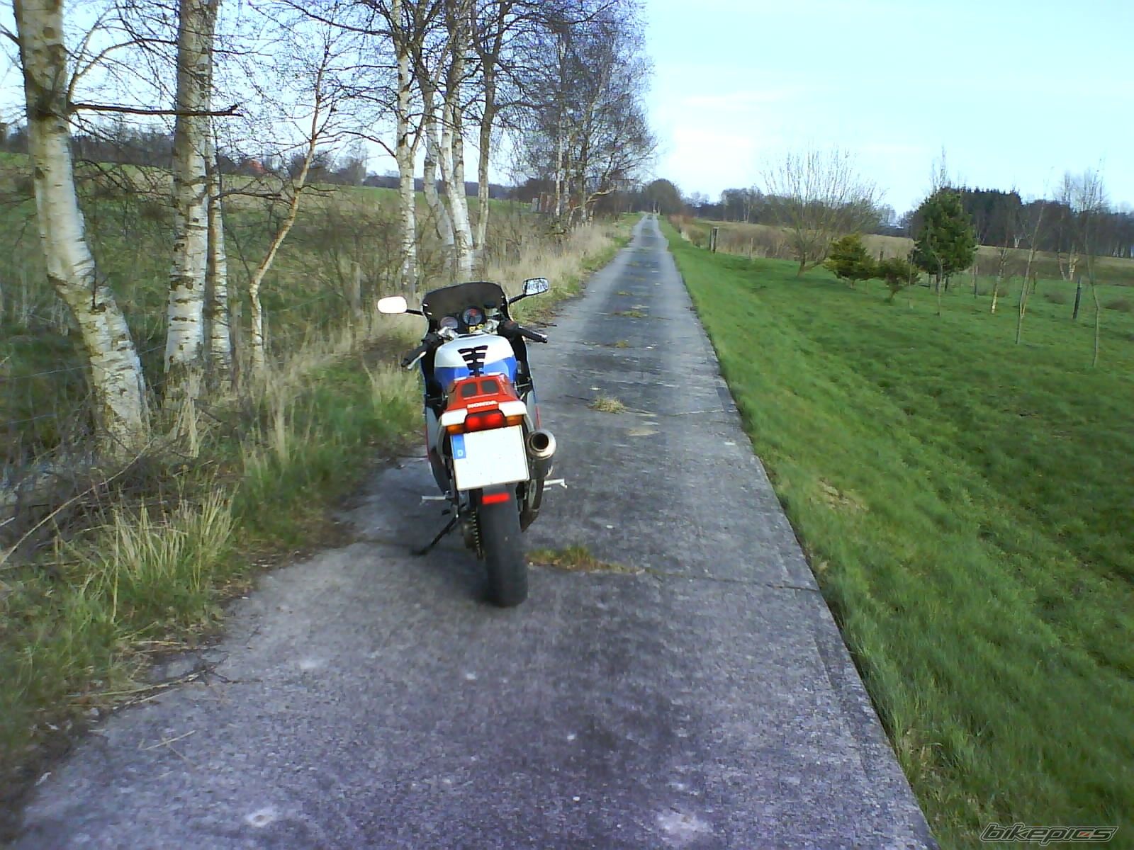 Photo 1230582