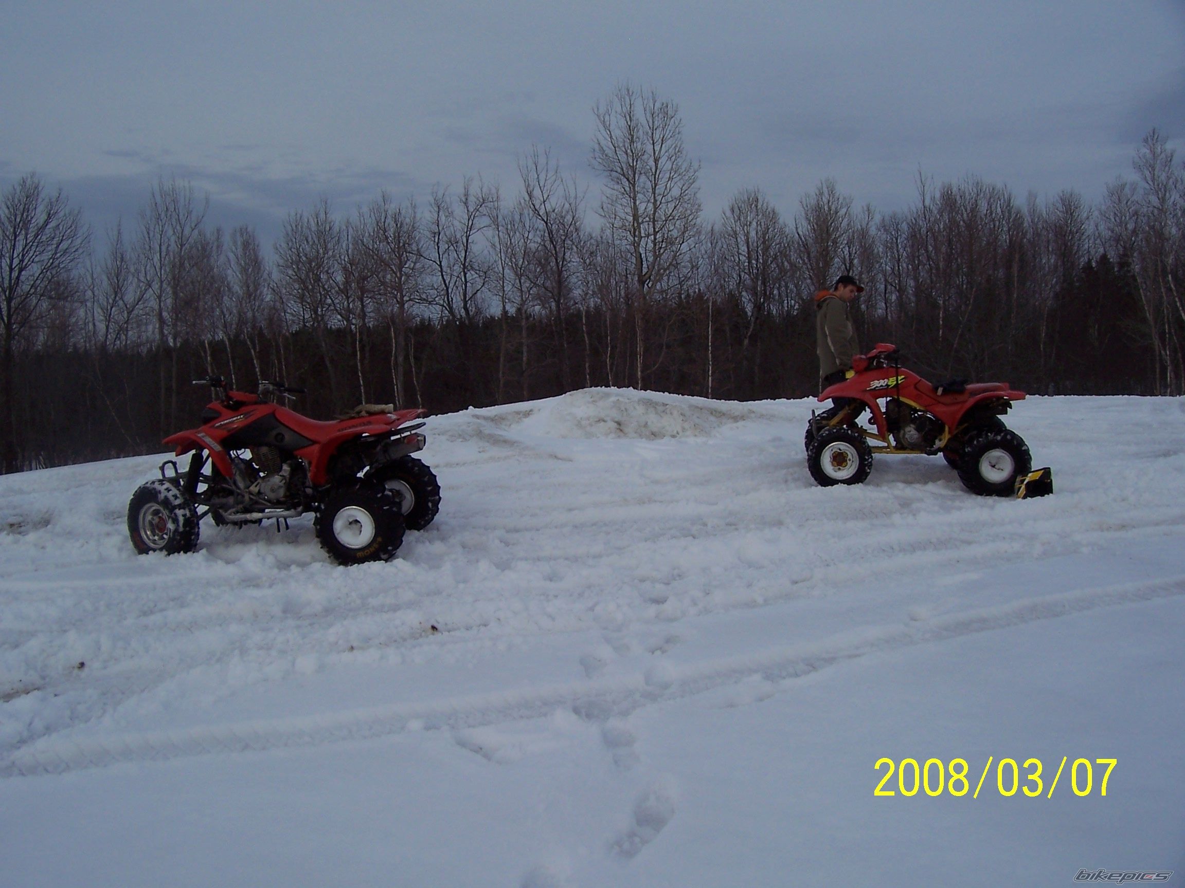 Photo 1230603