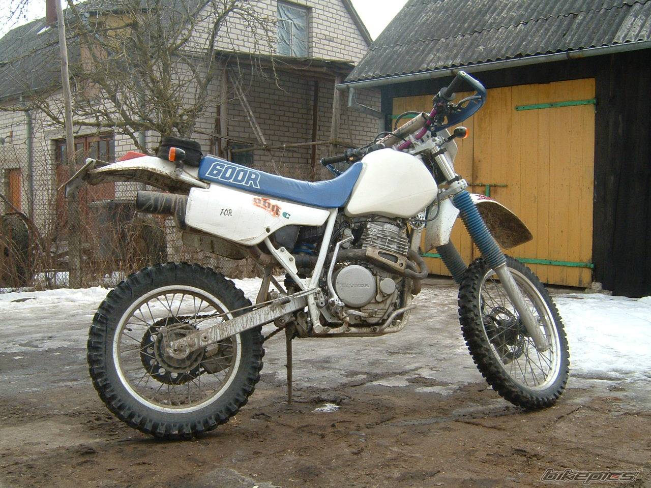 Bike Photo 123101