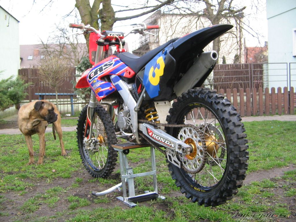 Bike Photo 1231010