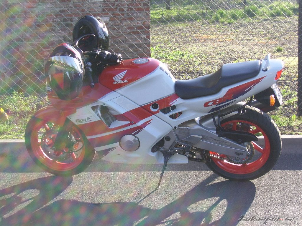 Photo 1231039