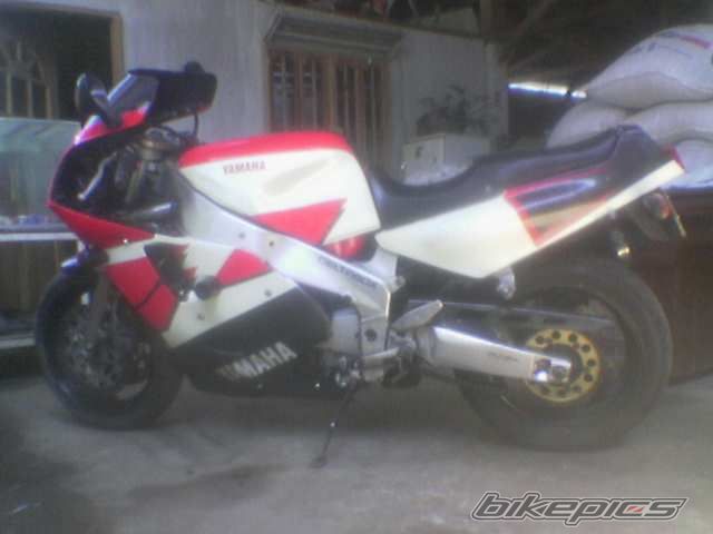 Photo 1231041