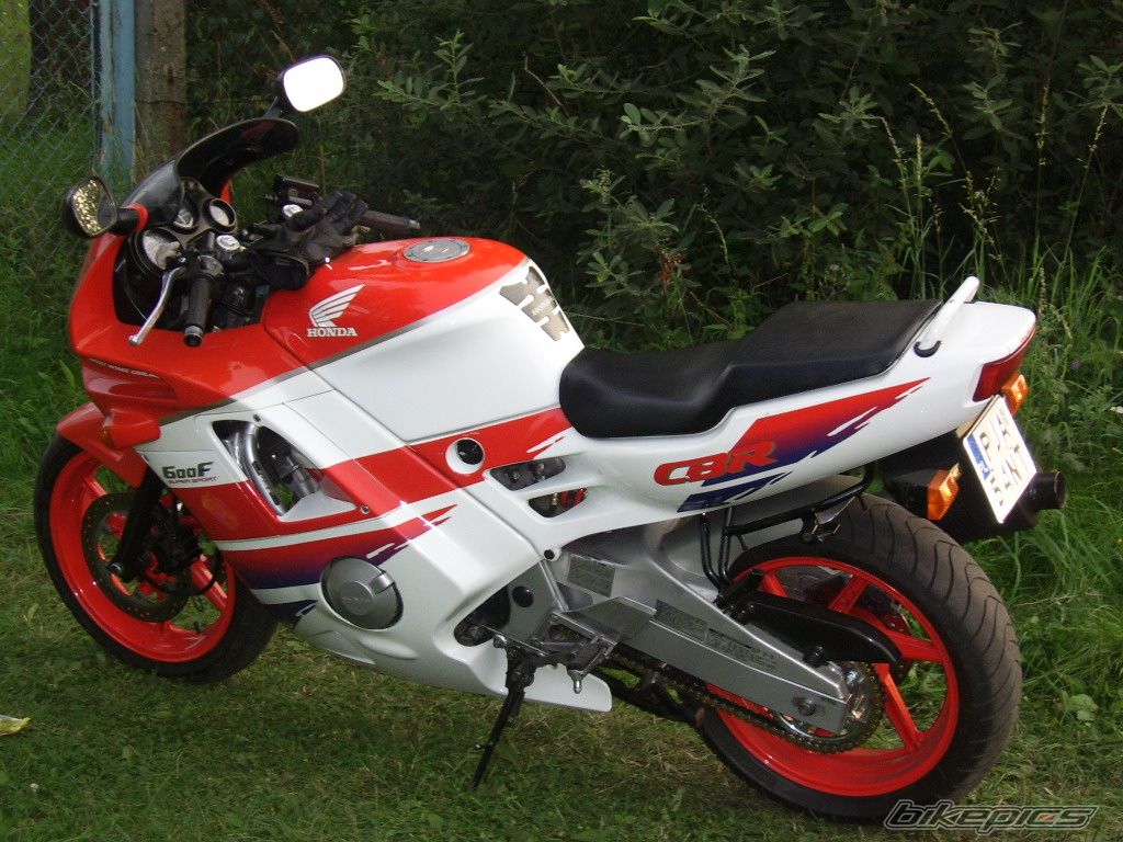 Photo 1231054