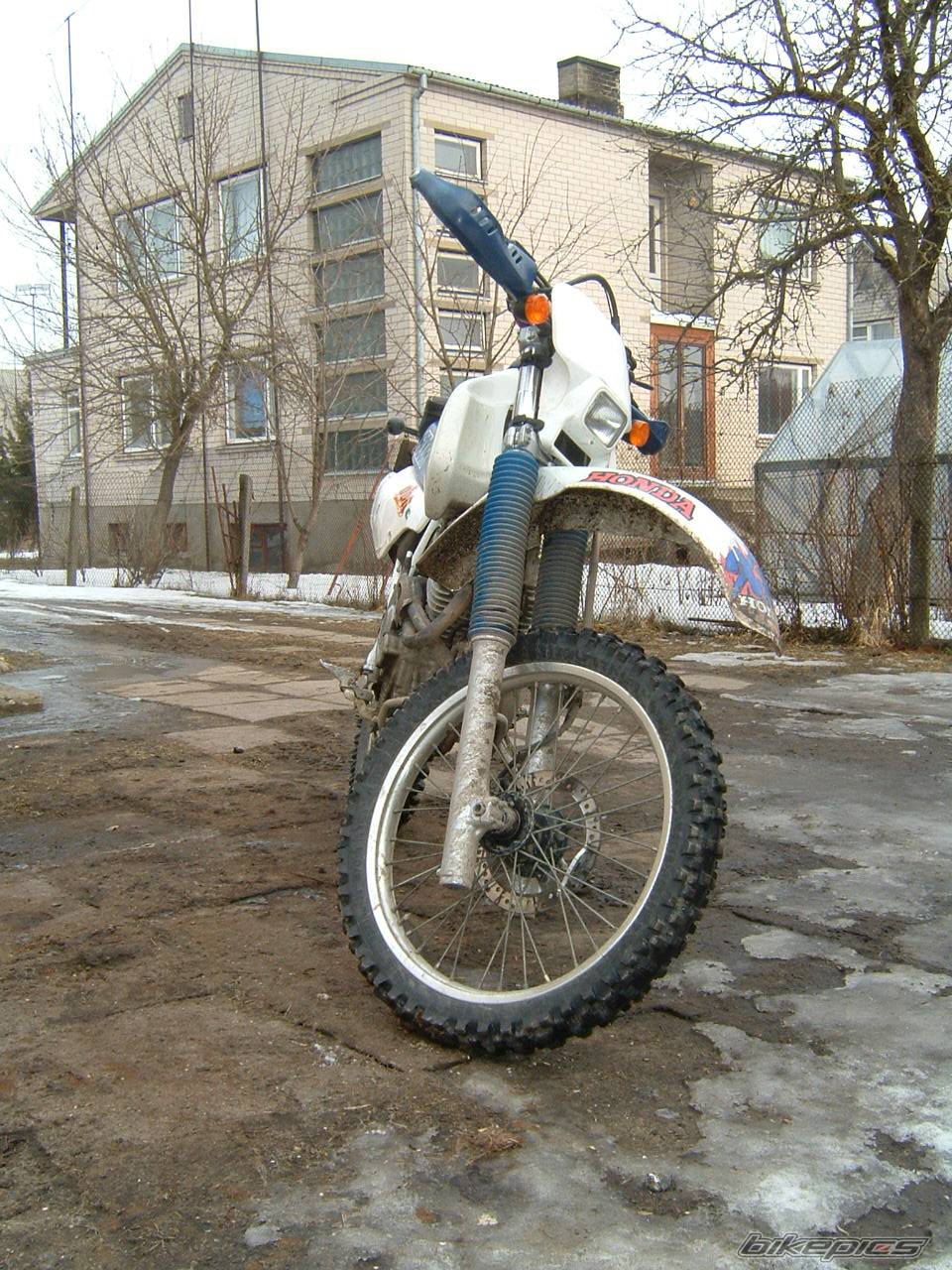 Bike Photo 123106