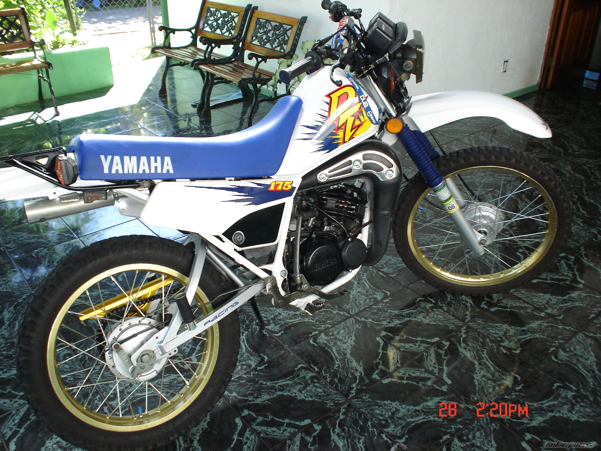 Bike Photo 1231060