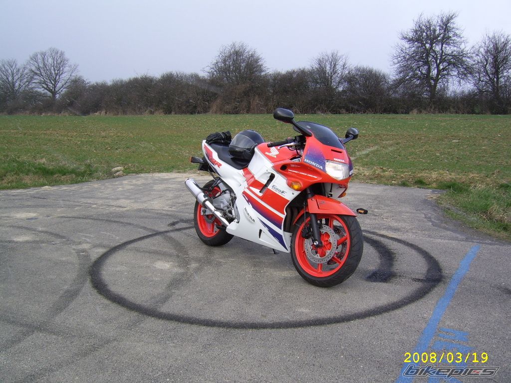 Photo 1231069
