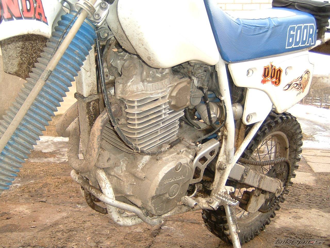 Bike Photo 123109