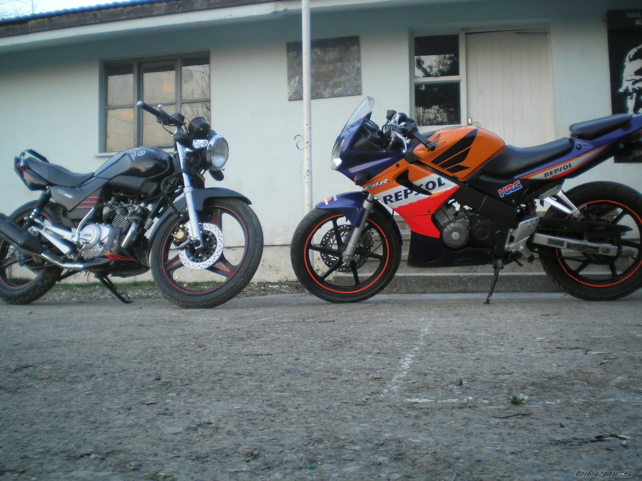 Photo 1231143