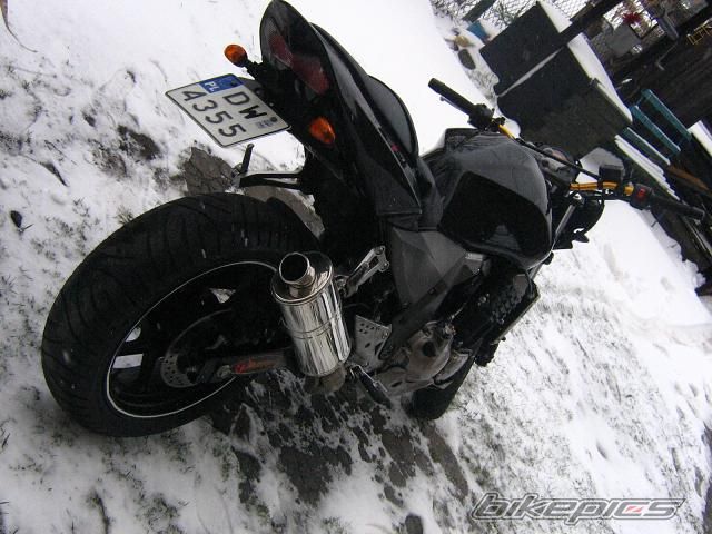 Photo 1231158