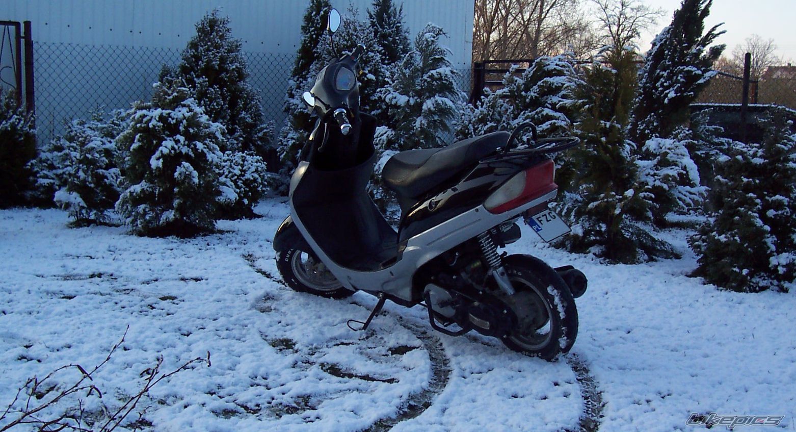 Photo 1231271
