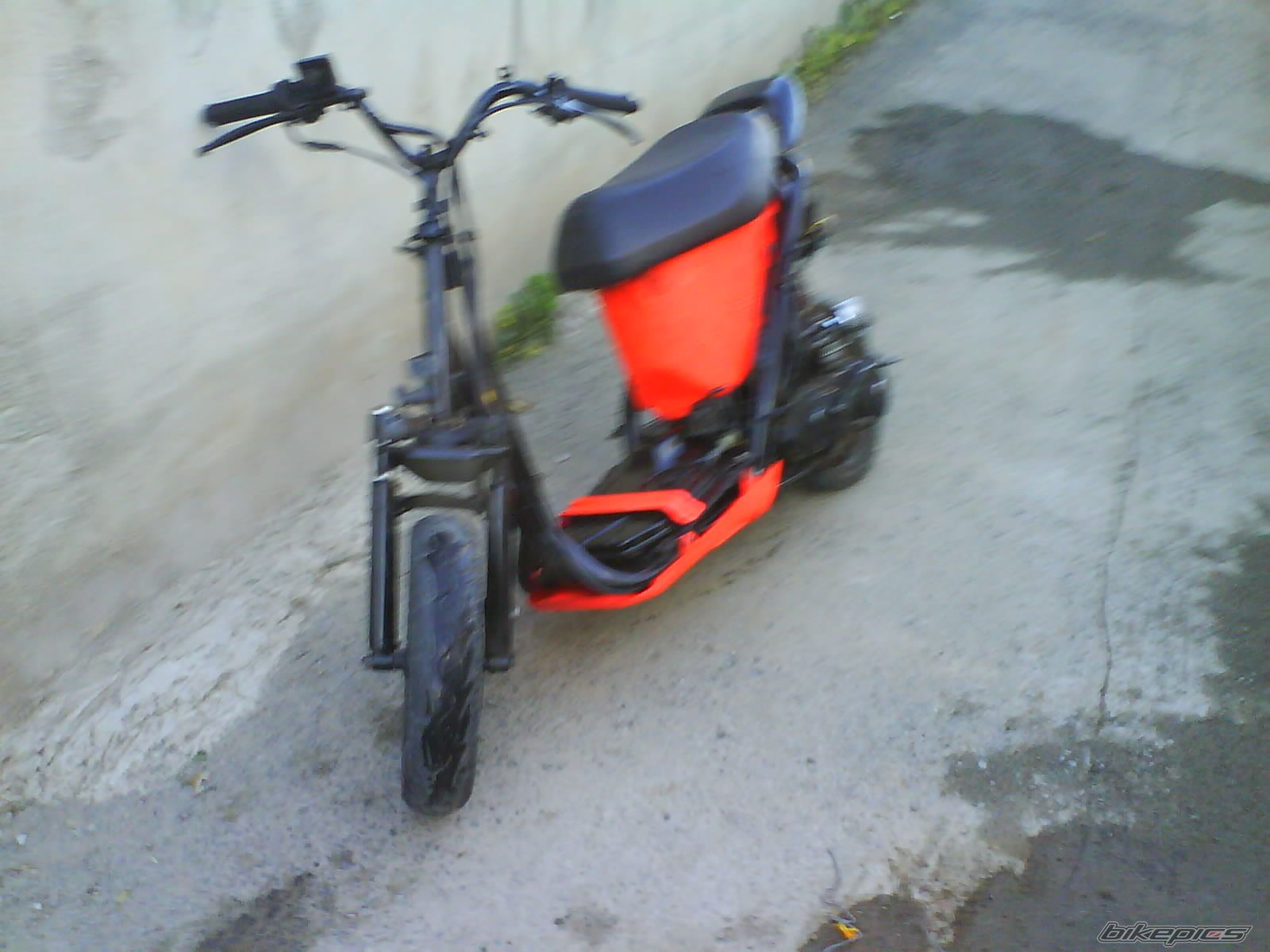 Photo 1231316