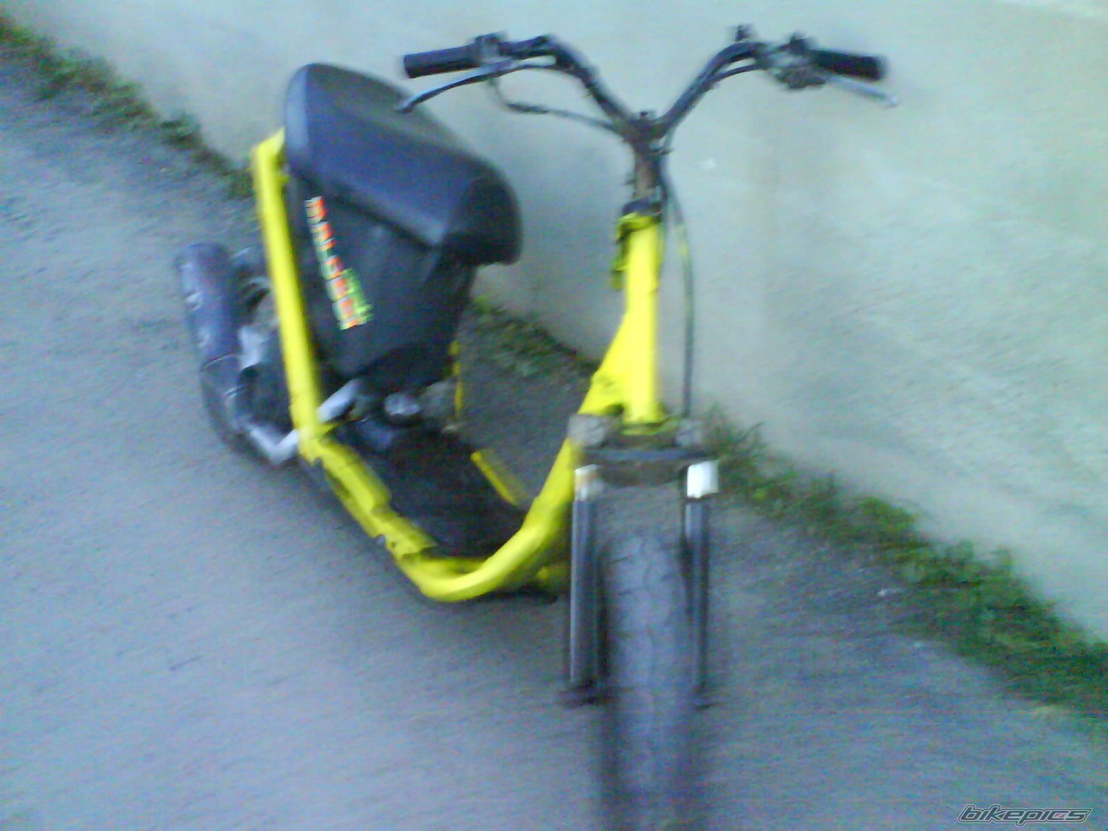 Photo 1231326