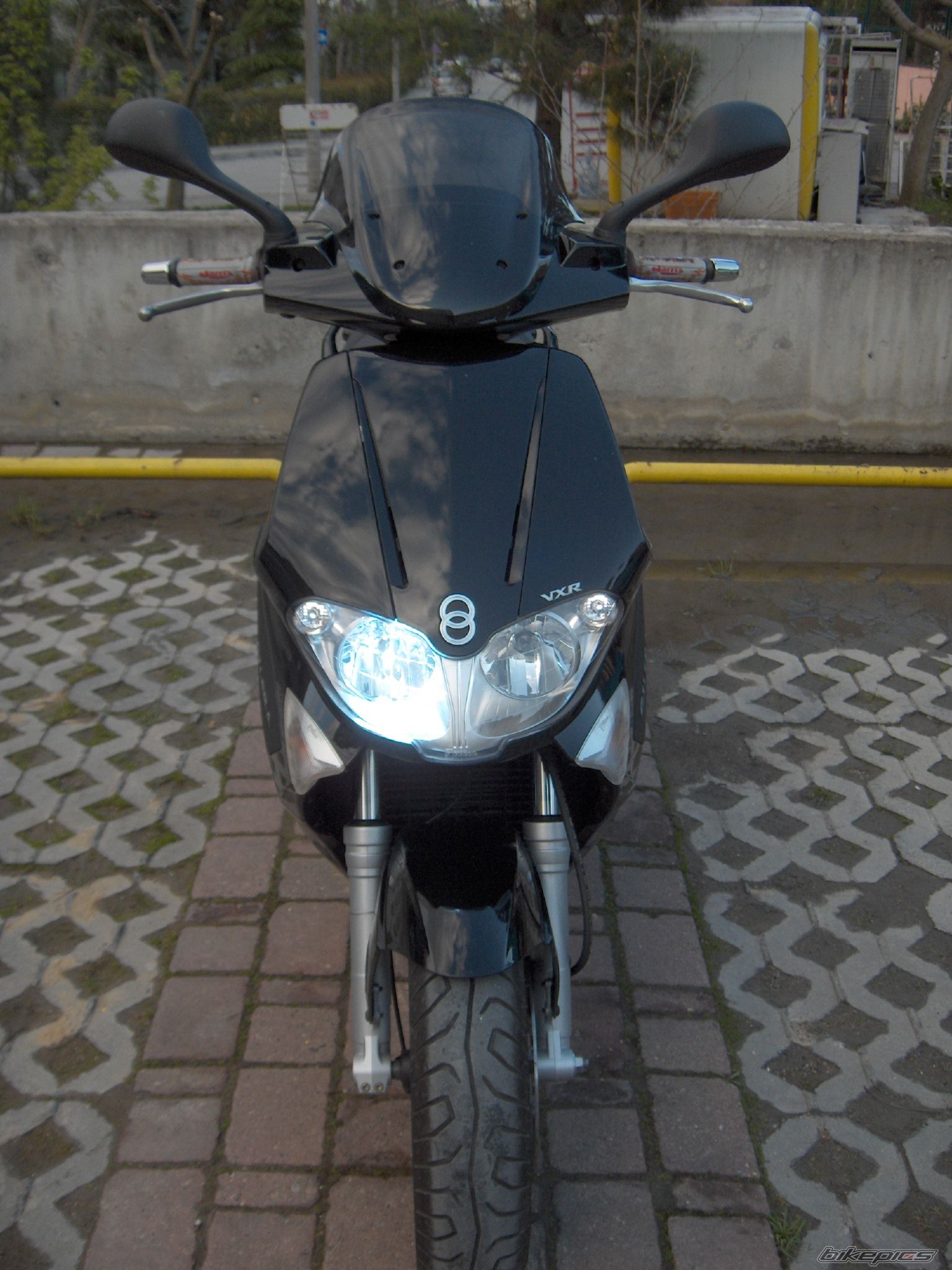 Photo 1231339