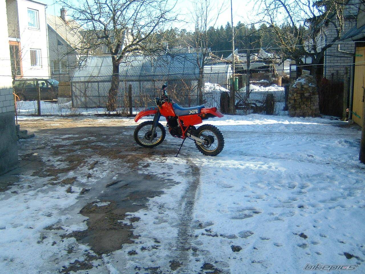 Photo 123135